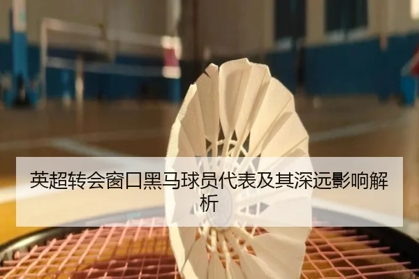 英超转会窗口黑马球员代表及其深远影响解析
